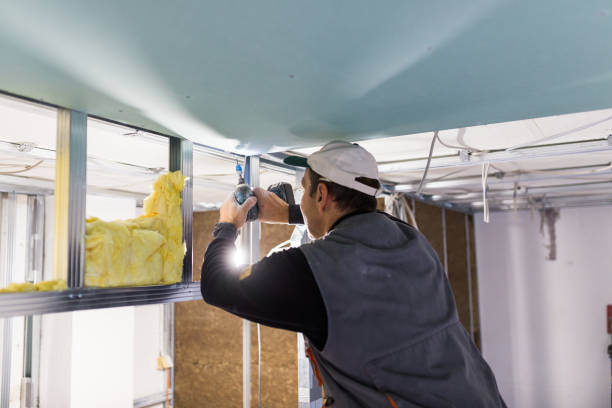 Best Blown-in Insulation  in University Center, VA