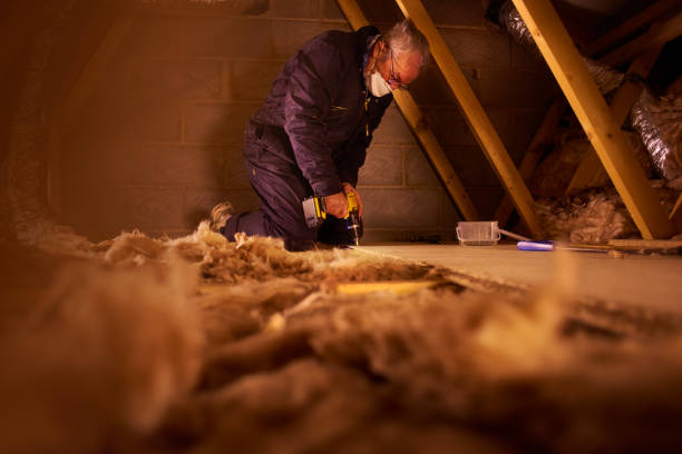 Best Insulation Repair Services  in University Center, VA